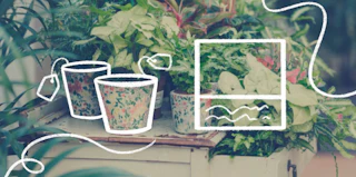 Content vs. Physical Goods vs. Both with Mandi Gubler