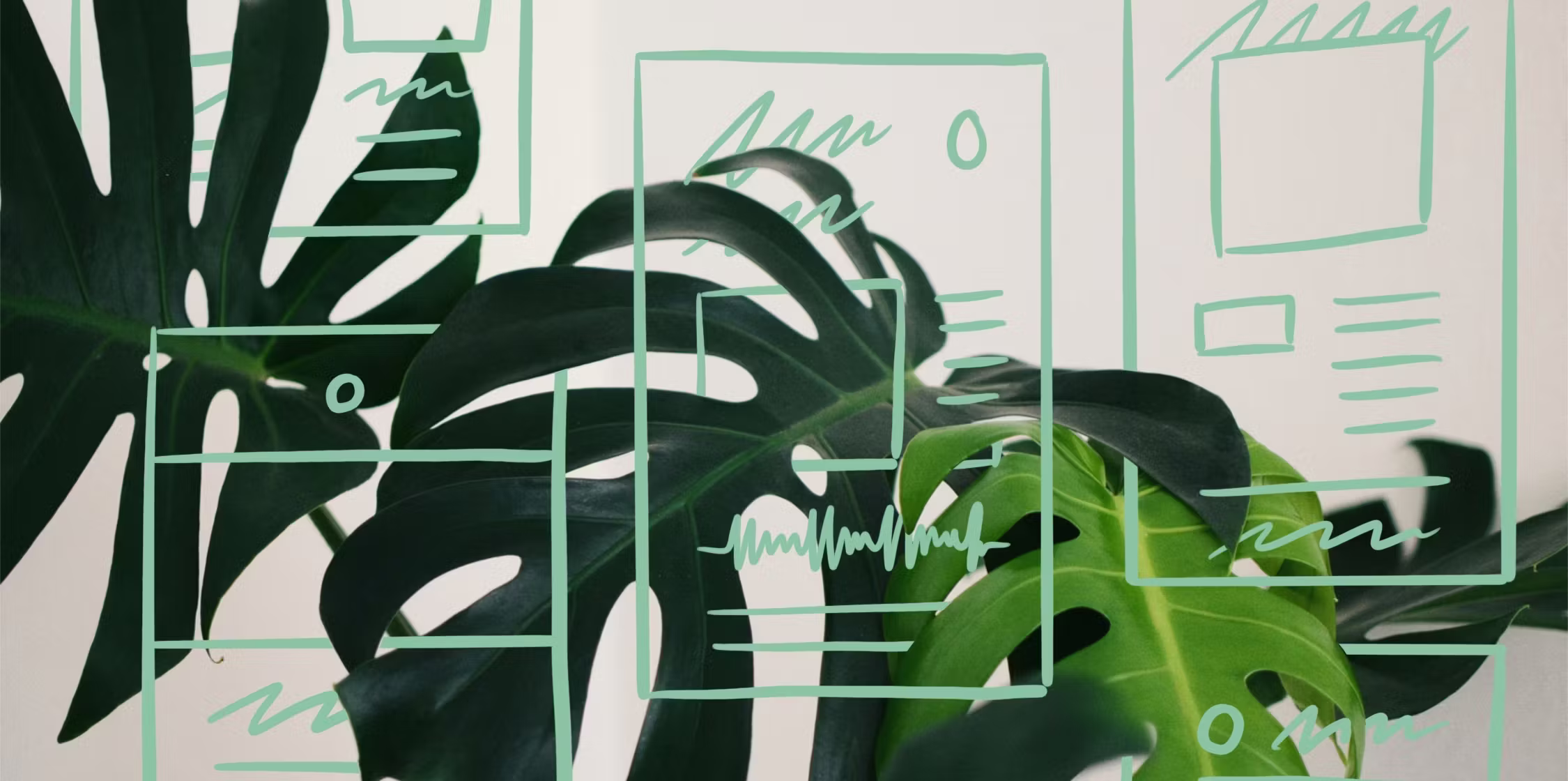 10 beautiful newsletter design templates for time-strapped creators + personalization tips